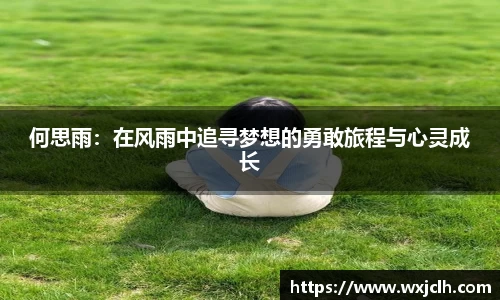 何思雨：在风雨中追寻梦想的勇敢旅程与心灵成长