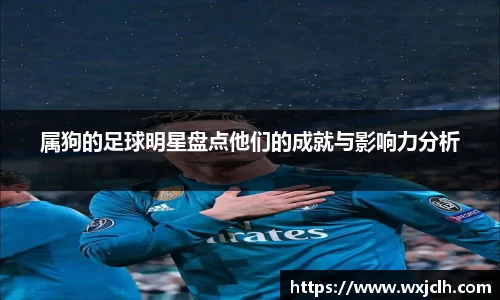 属狗的足球明星盘点他们的成就与影响力分析
